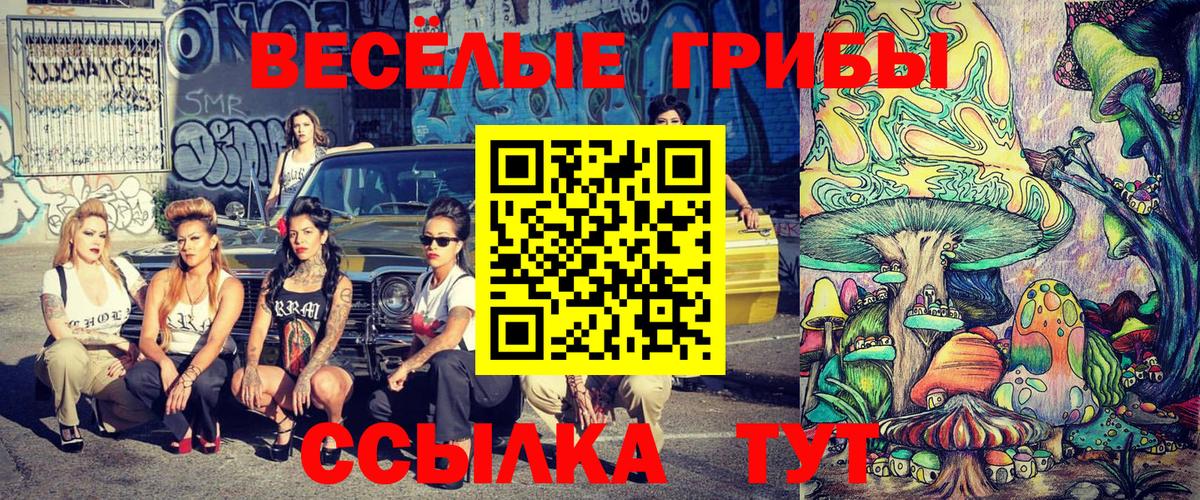 Галлюциногенные грибы GOLDEN TEACHER Ртищево