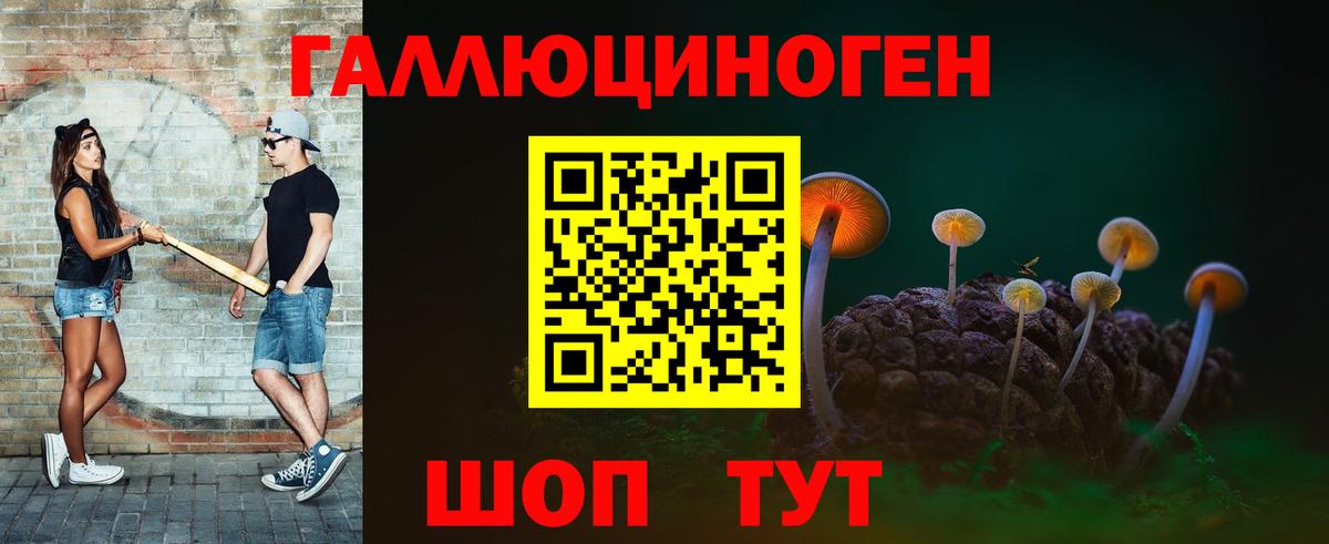 как найти наркотики  Псилоцибиновые грибы GOLDEN TEACHER  Галлюциногенные грибы прущие грибы  Вход с VPN  Ртищево 